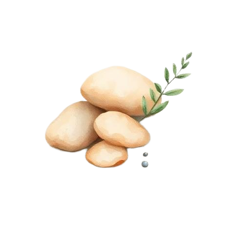 Země